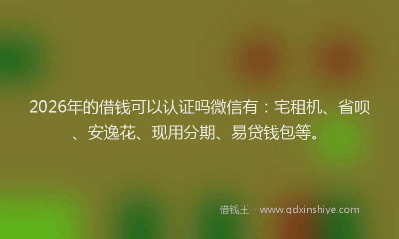 2026年的借钱可以认证吗微信有:宅租机、省呗、安逸花、现用分期、易贷钱包等。