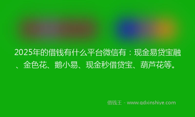 2025年的借钱有什么平台微信有：现金易贷宝融、金色花、鹅小易、现金秒借贷宝、葫芦花等。