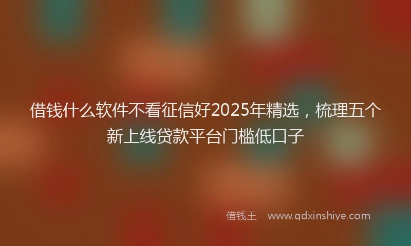 借钱什么软件不看征信好2025年精选,梳理五个新上线贷款平台门槛低口子
