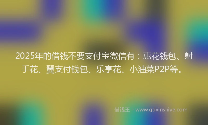 2025年的借钱不要支付宝微信有：惠花钱包、射手花、翼支付钱包、乐享花、小油菜P2P等。