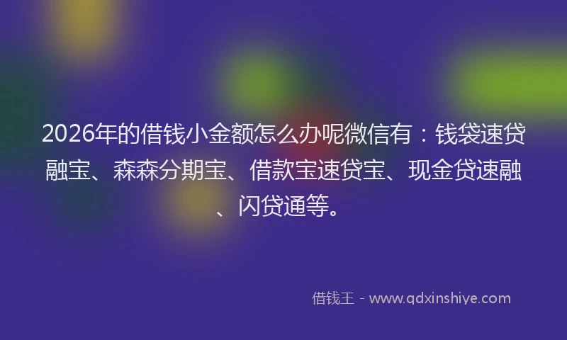 2026年的借钱小金额怎么办呢微信有：钱袋速贷融宝、森森分期宝、借款宝速贷宝、现金贷速融、闪贷通等。