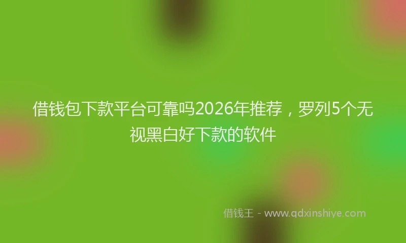 借钱包下款平台可靠吗2026年推荐，罗列5个无视黑白好下款的软件