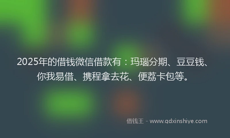 2025年的借钱微信借款有:玛瑙分期、豆豆钱、你我易借、携程拿去花、便荔卡包等。