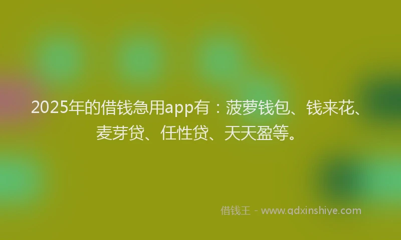 2025年的借钱急用app有：菠萝钱包、钱来花、麦芽贷、任性贷、天天盈等。