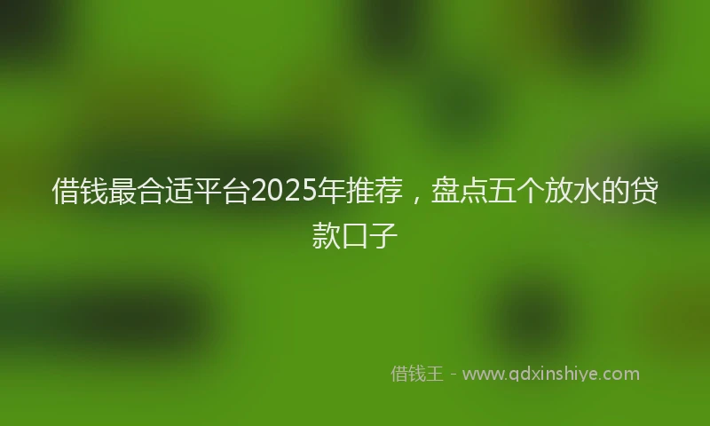借钱最合适平台2025年推荐，盘点五个放水的贷款口子