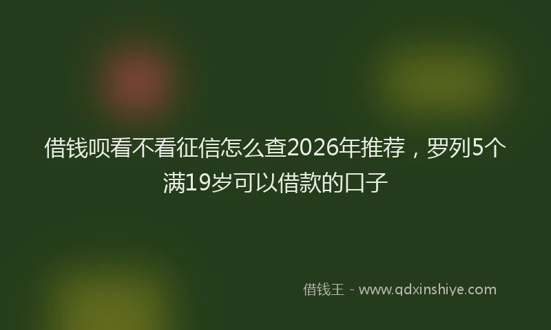 借钱呗看不看征信怎么查2026年推荐，罗列5个满19岁可以借款的口子