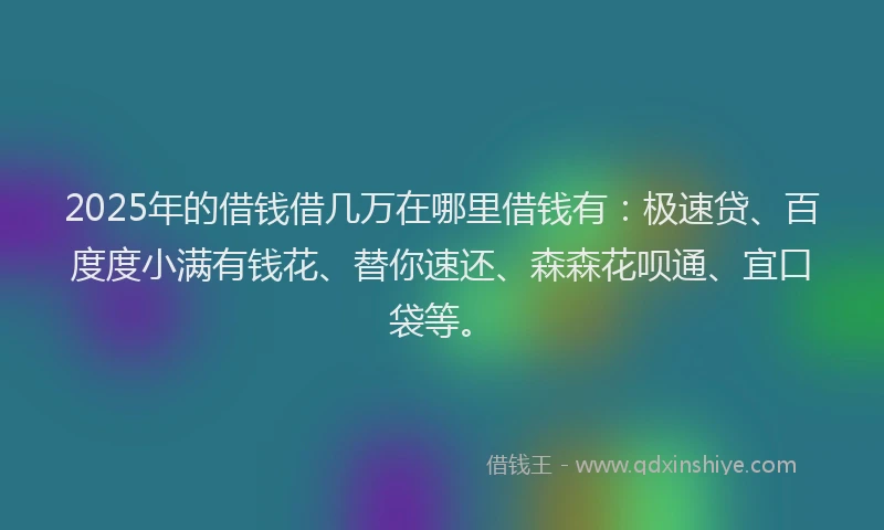 2025年的借钱借几万在哪里借钱有:极速贷、百度度小满有钱花、替你速还、森森花呗通、宜口袋等。
