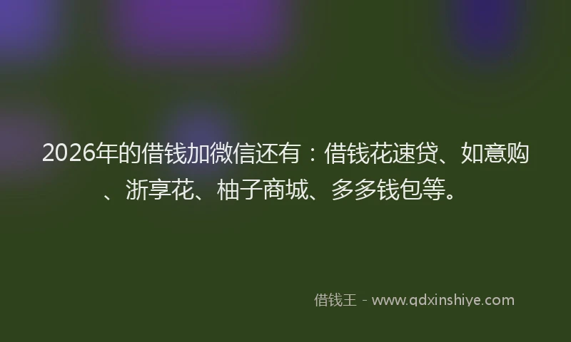 2026年的借钱加微信还有：借钱花速贷、如意购、浙享花、柚子商城、多多钱包等。