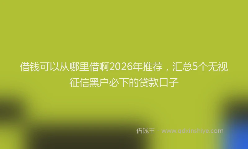 借钱可以从哪里借啊2026年推荐,汇总5个无视征信黑户必下的贷款口子