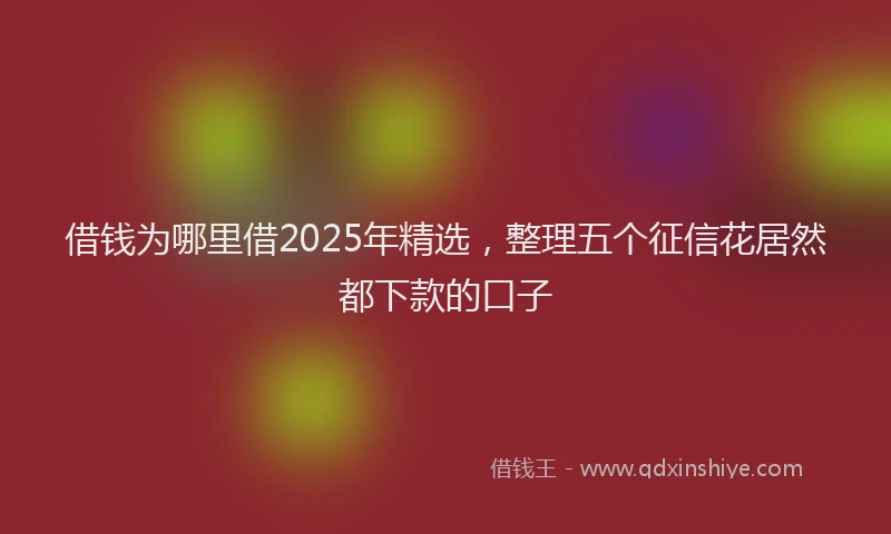 借钱为哪里借2025年精选，整理五个征信花居然都下款的口子