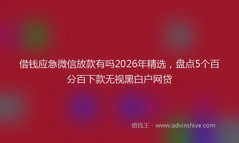 借钱应急微信放款有吗2026年精选，盘点5个百分百下款无视黑白户网贷
