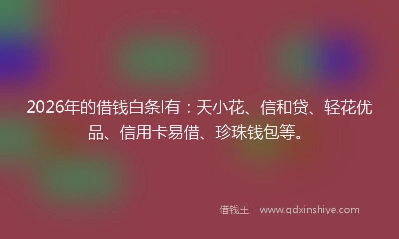 2026年的借钱白条l有：天小花、信和贷、轻花优品、信用卡易借、珍珠钱包等。