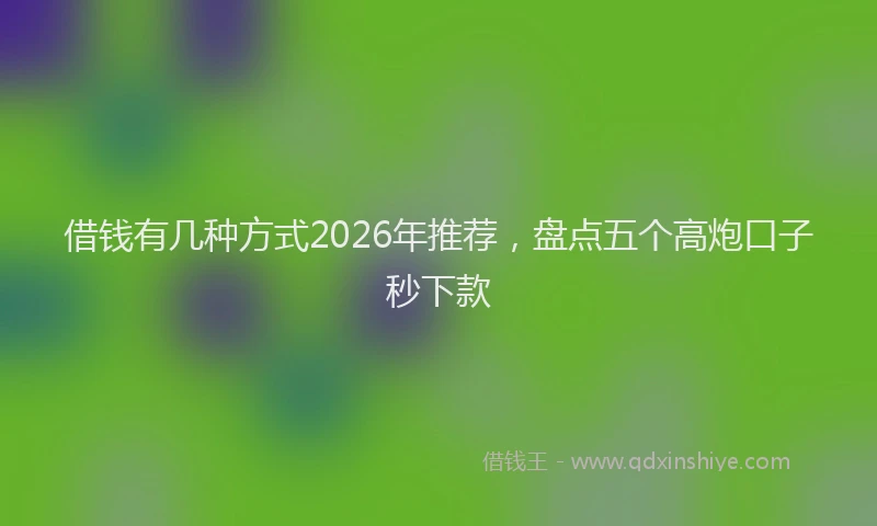 借钱有几种方式2026年推荐，盘点五个高炮口子秒下款