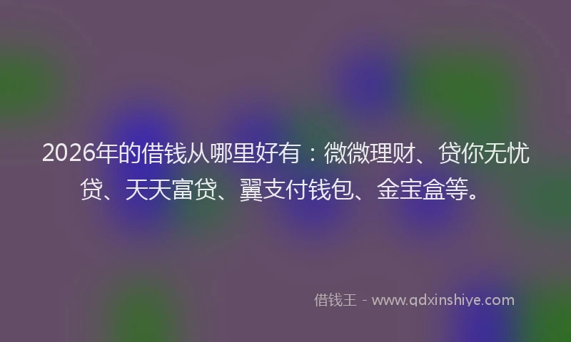 2026年的借钱从哪里好有:微微理财、贷你无忧贷、天天富贷、翼支付钱包、金宝盒等。