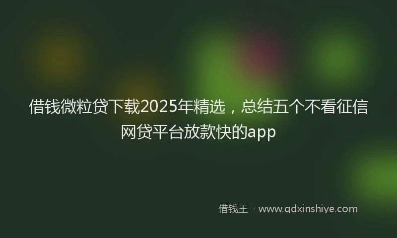 借钱微粒贷下载2025年精选，总结五个不看征信网贷平台放款快的app