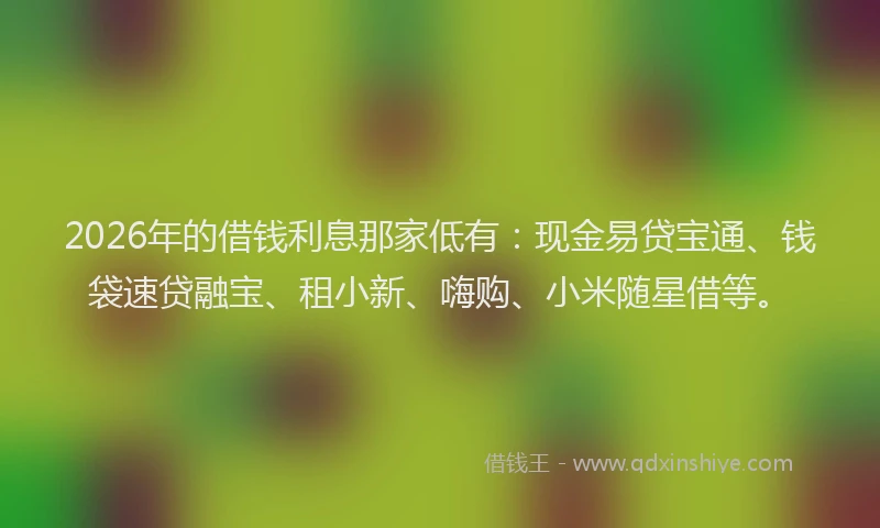 2026年的借钱利息那家低有：现金易贷宝通、钱袋速贷融宝、租小新、嗨购、小米随星借等。