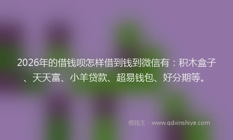 2026年的借钱呗怎样借到钱到微信有：积木盒子、天天富、小羊贷款、超易钱包、好分期等。