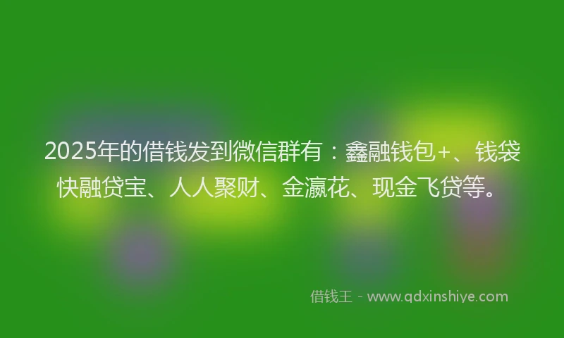 2025年的借钱发到微信群有：鑫融钱包+、钱袋快融贷宝、人人聚财、金瀛花、现金飞贷等。