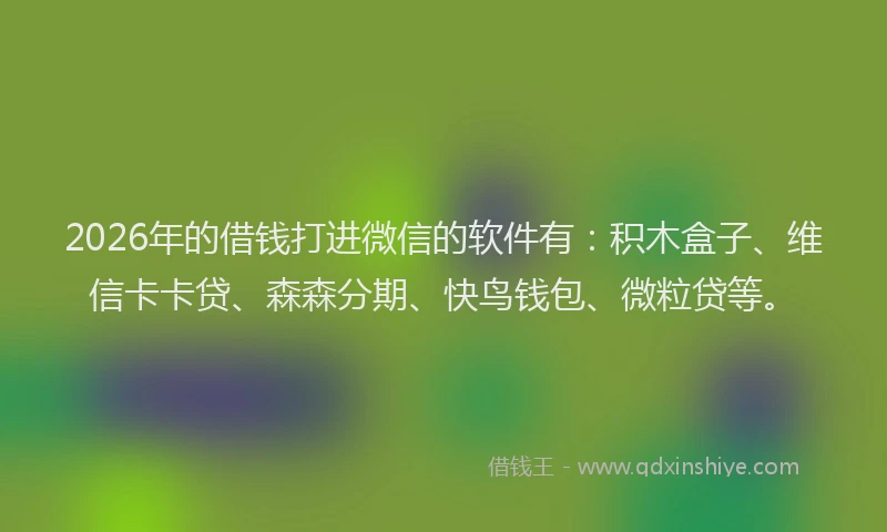 2026年的借钱打进微信的软件有:积木盒子、维信卡卡贷、森森分期、快鸟钱包、微粒贷等。
