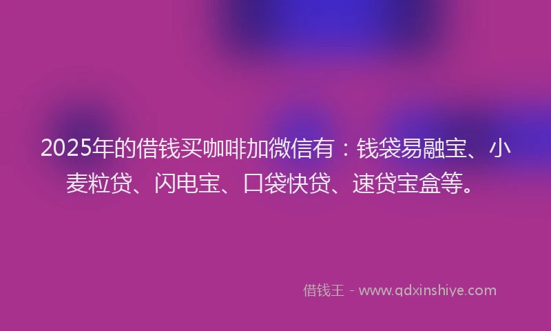 2025年的借钱买咖啡加微信有：钱袋易融宝、小麦粒贷、闪电宝、口袋快贷、速贷宝盒等。