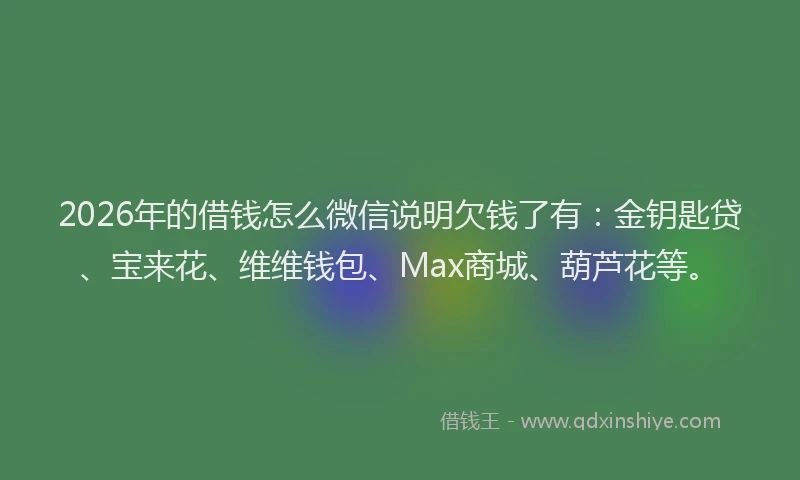 2026年的借钱怎么微信说明欠钱了有：金钥匙贷、宝来花、维维钱包、Max商城、葫芦花等。