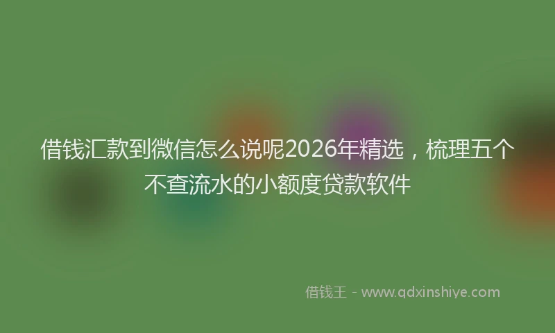 借钱汇款到微信怎么说呢2026年精选，梳理五个不查流水的小额度贷款软件