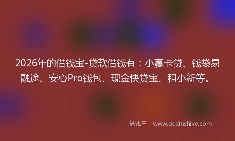 2026年的借钱宝-贷款借钱有：小赢卡贷、钱袋易融途、安心Pro钱包、现金快贷宝、租小新等。