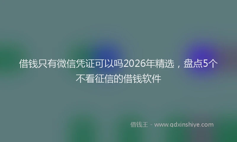借钱只有微信凭证可以吗2026年精选，盘点5个不看征信的借钱软件