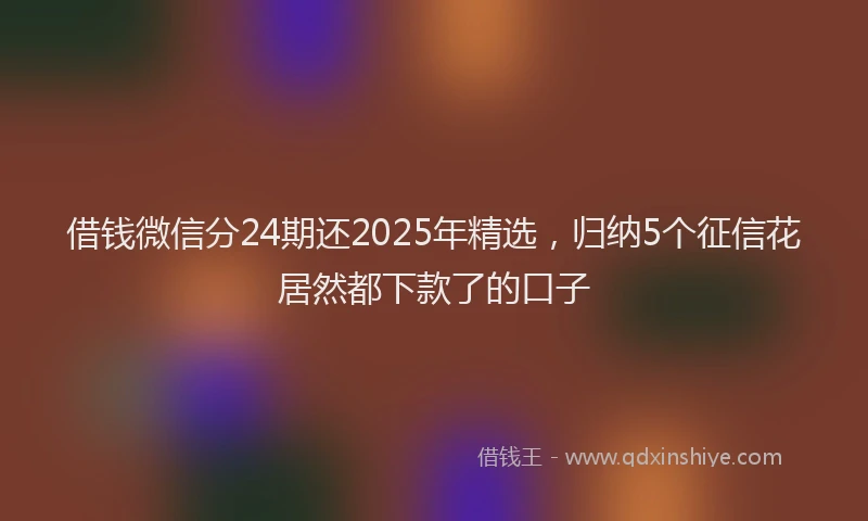 借钱微信分24期还2025年精选，归纳5个征信花居然都下款了的口子