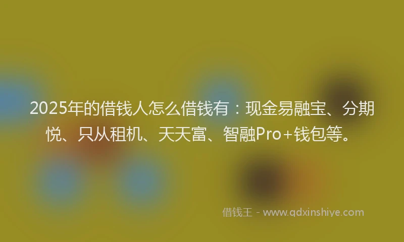 2025年的借钱人怎么借钱有：现金易融宝、分期悦、只从租机、天天富、智融Pro+钱包等。