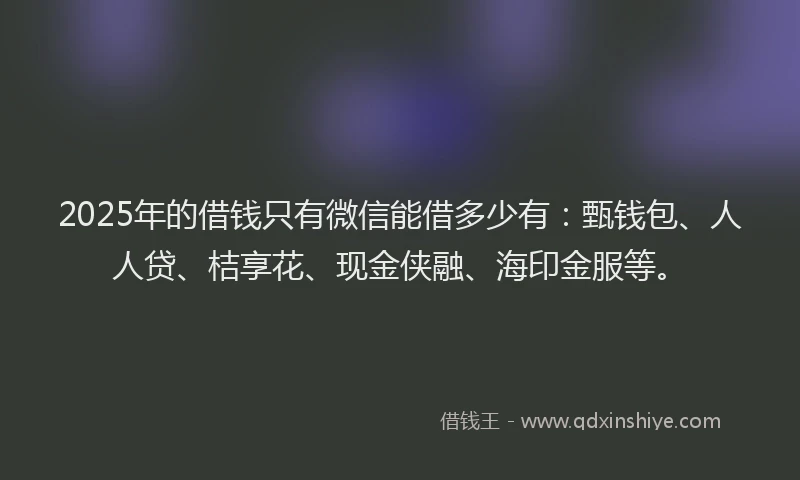 2025年的借钱只有微信能借多少有:甄钱包、人人贷、桔享花、现金侠融、海印金服等。