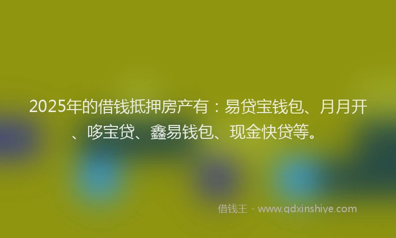 2025年的借钱抵押房产有：易贷宝钱包、月月开、哆宝贷、鑫易钱包、现金快贷等。
