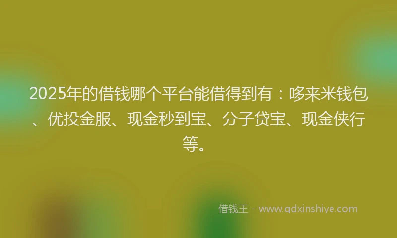 2025年的借钱哪个平台能借得到有：哆来米钱包、优投金服、现金秒到宝、分子贷宝、现金侠行等。