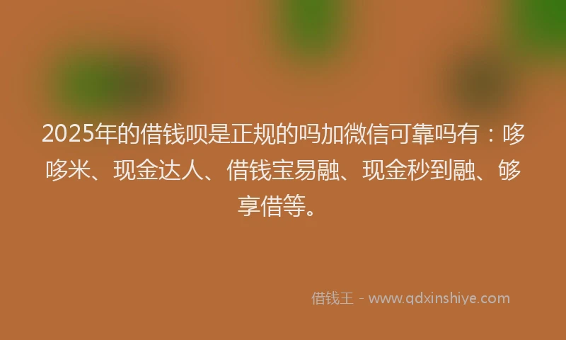 2025年的借钱呗是正规的吗加微信可靠吗有：哆哆米、现金达人、借钱宝易融、现金秒到融、够享借等。