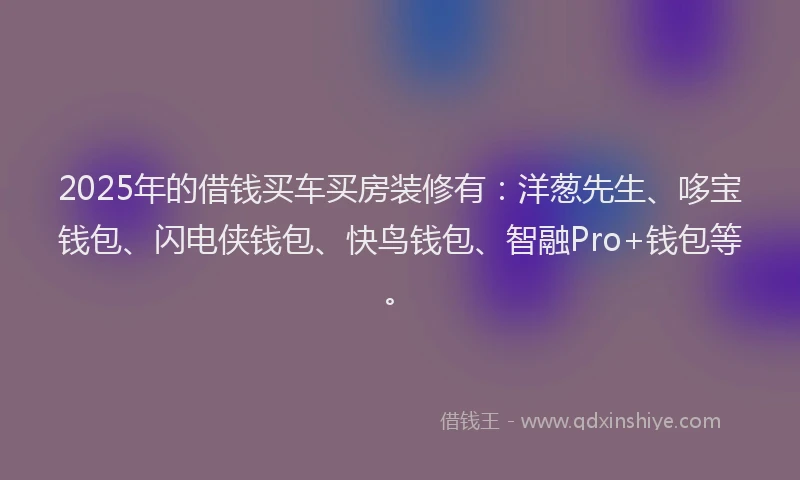 2025年的借钱买车买房装修有:洋葱先生、哆宝钱包、闪电侠钱包、快鸟钱包、智融Pro+钱包等。