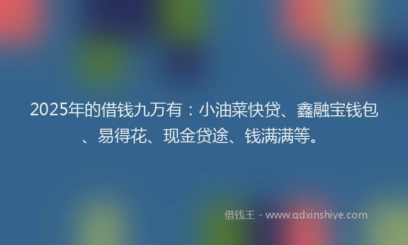 2025年的借钱九万有：小油菜快贷、鑫融宝钱包、易得花、现金贷途、钱满满等。