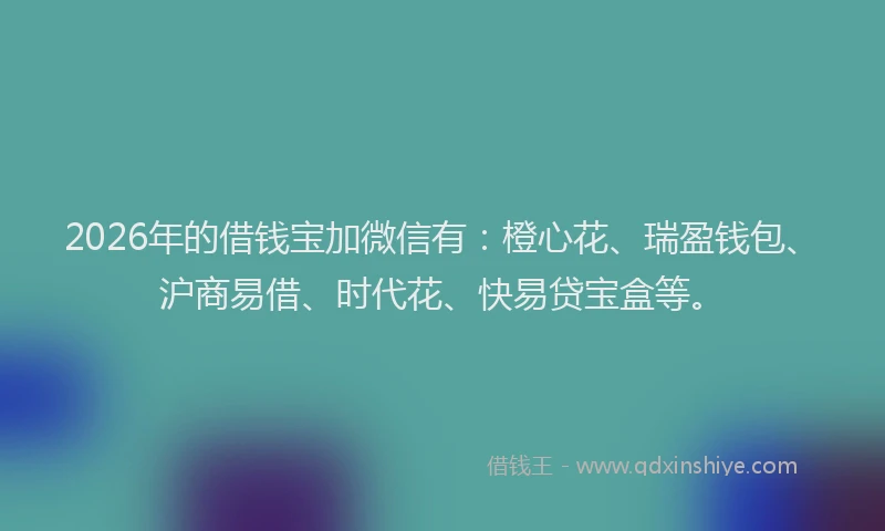 2026年的借钱宝加微信有:橙心花、瑞盈钱包、沪商易借、时代花、快易贷宝盒等。