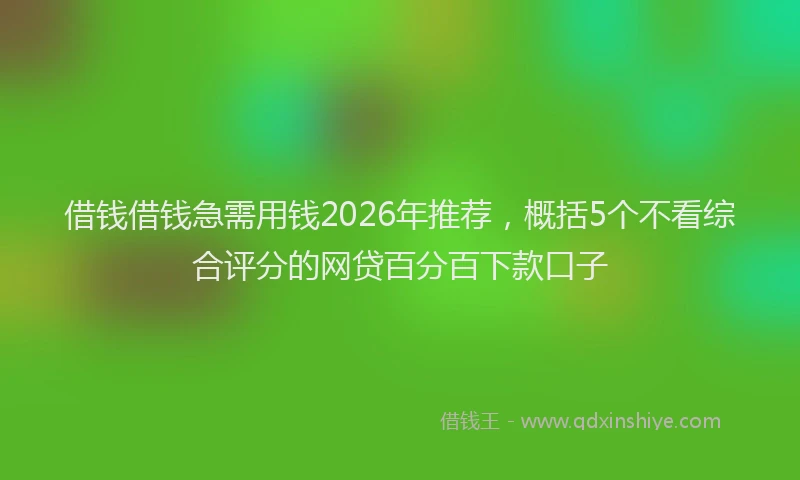 借钱借钱急需用钱2026年推荐，概括5个不看综合评分的网贷百分百下款口子