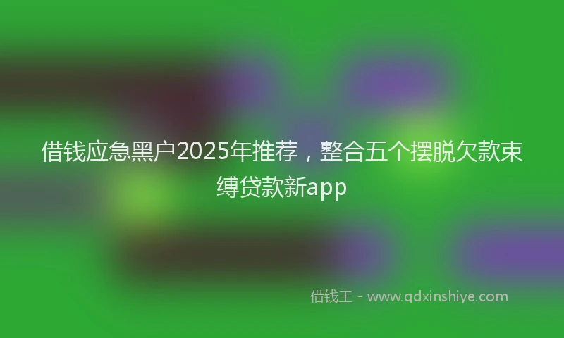 借钱应急黑户2025年推荐，整合五个摆脱欠款束缚贷款新app