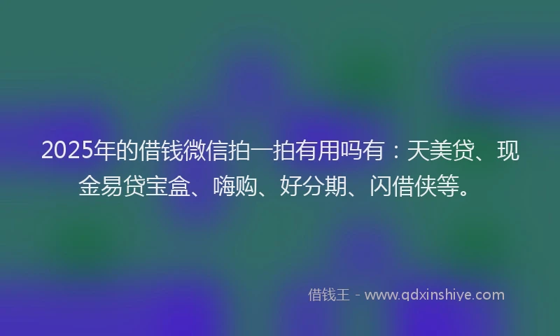 2025年的借钱微信拍一拍有用吗有：天美贷、现金易贷宝盒、嗨购、好分期、闪借侠等。