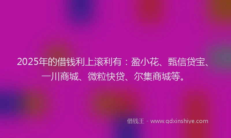 2025年的借钱利上滚利有：盈小花、甄信贷宝、一川商城、微粒快贷、尔集商城等。