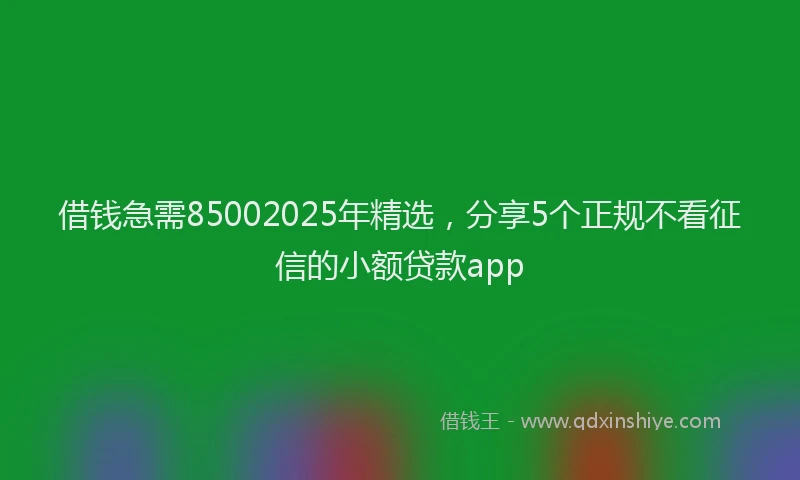 借钱急需85002025年精选,分享5个正规不看征信的小额贷款app