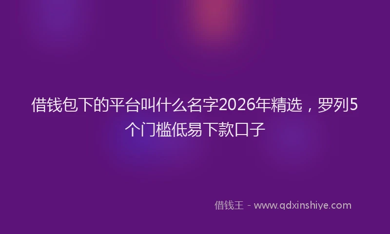 借钱包下的平台叫什么名字2026年精选，罗列5个门槛低易下款口子