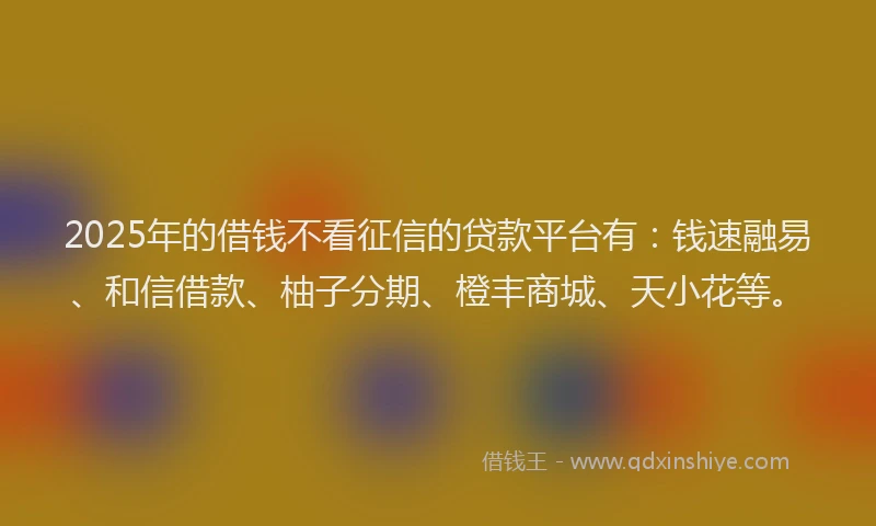 2025年的借钱不看征信的贷款平台有：钱速融易、和信借款、柚子分期、橙丰商城、天小花等。