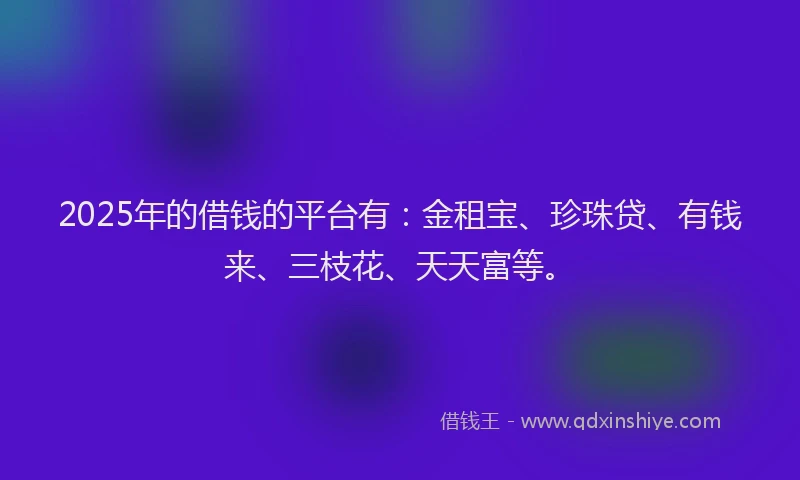 2025年的借钱的平台有：金租宝、珍珠贷、有钱来、三枝花、天天富等。