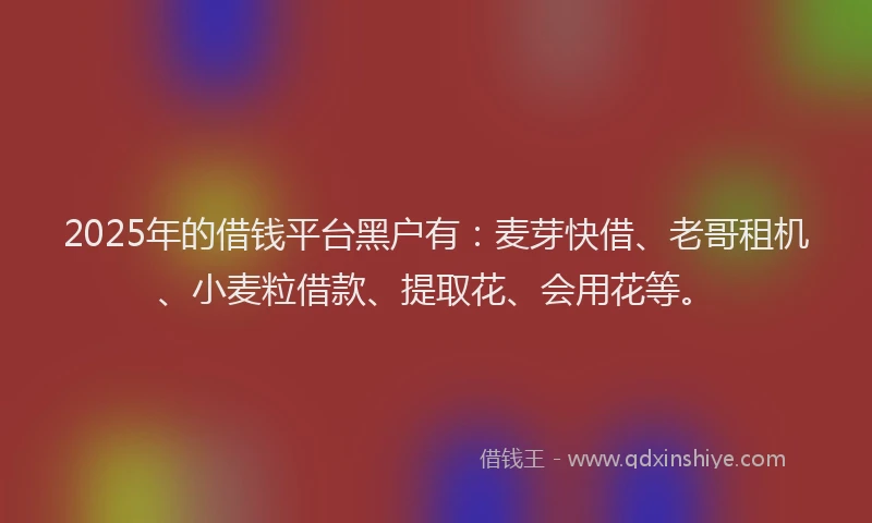 2025年的借钱平台黑户有：麦芽快借、老哥租机、小麦粒借款、提取花、会用花等。