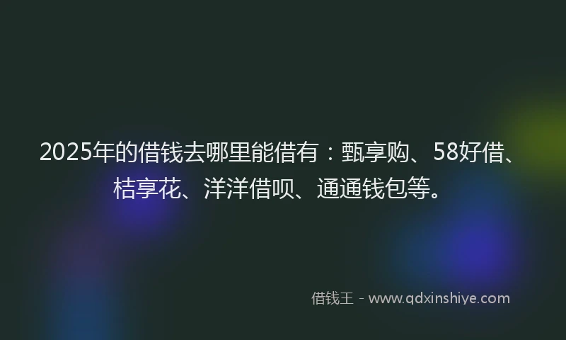 2025年的借钱去哪里能借有：甄享购、58好借、桔享花、洋洋借呗、通通钱包等。