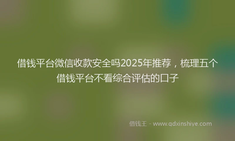 借钱平台微信收款安全吗2025年推荐，梳理五个借钱平台不看综合评估的口子