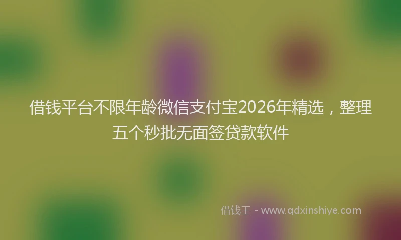 借钱平台不限年龄微信支付宝2026年精选，整理五个秒批无面签贷款软件