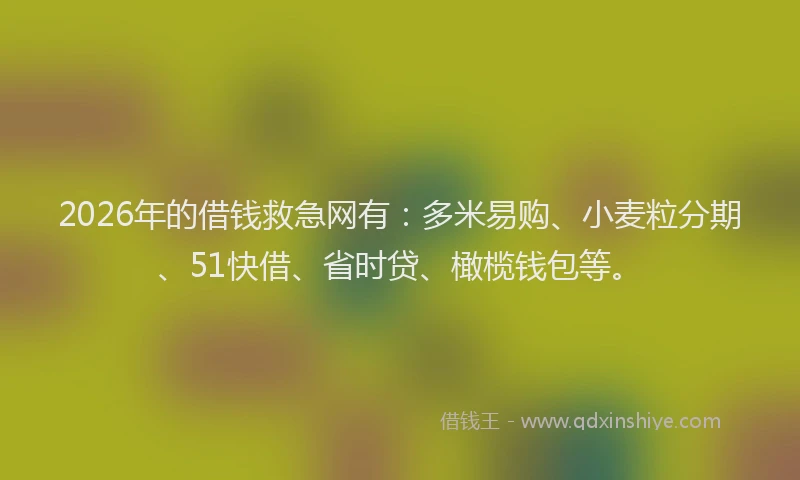2026年的借钱救急网有：多米易购、小麦粒分期、51快借、省时贷、橄榄钱包等。